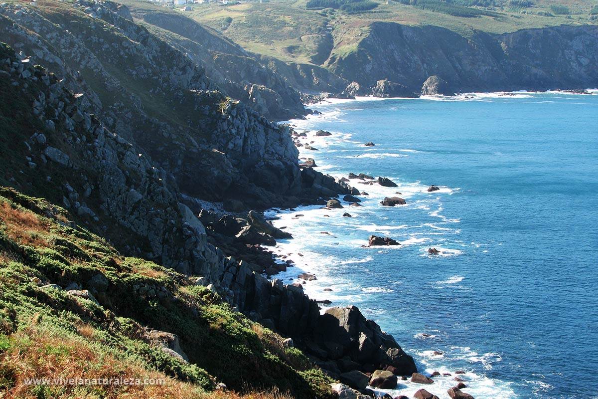 Cabo de Estaca de Bares - Vive la Naturaleza