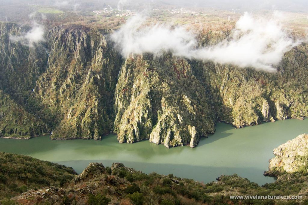 Disfruta de la naturaleza y recorre los cañones del Sil en La Ribeira Sacra con un inolvidable paseo en barco o catamarán