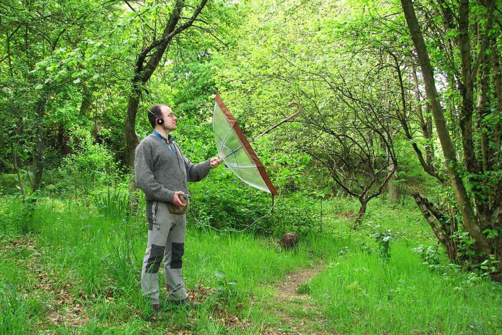 Grabar sonidos de la naturaleza: cantos de aves, voces de anfibios o mamíferos, es algo que está al alcance de cualquier naturalista o ecólogo que tanga una vieja grabadora de audio