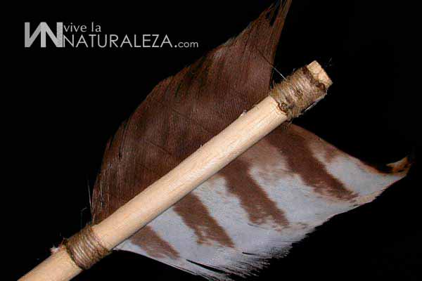 Como poner las plumas del tión a las flechas