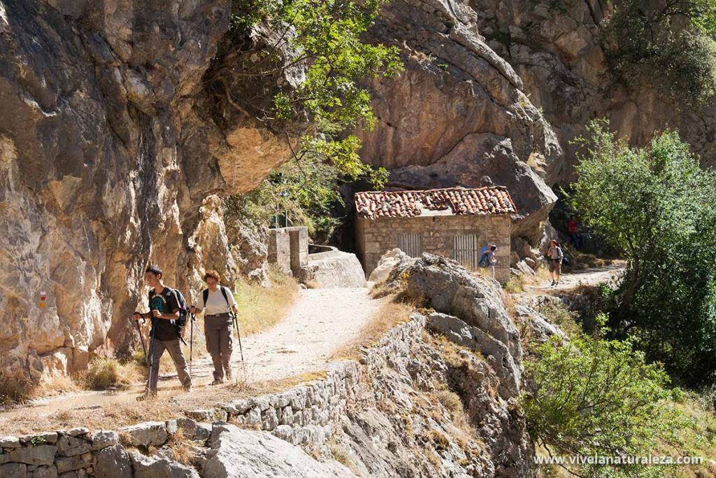 Empresas y asociaciones de turismo activo y deportes de aventura de Asturias