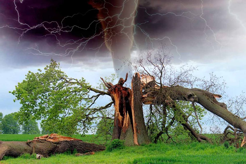 Los desastres naturales son un riesgo que nos puede sobrevenir en cualquier momento y lugar. Estar preparados y saber cómo enfrentarse a ellos es la mejor manera de sobrevivir