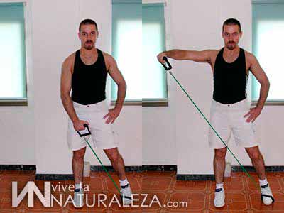 Ejercicios con extensores de goma clearance