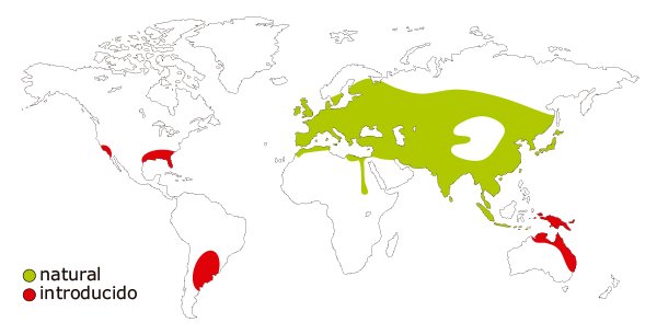 Distribucion mundial del jabali, sus scrofa y se todas las subespecies de javali