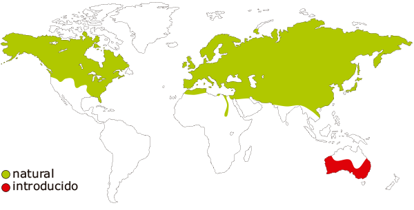 Mapa de distribucion mundial de los zorros - Vulpes vulpes