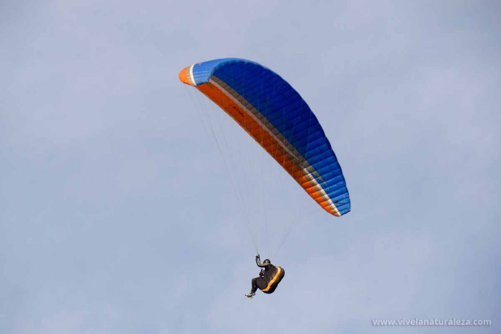 Parapente: un deporte para volar como un pájaro