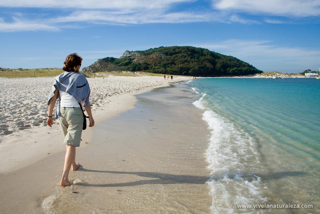 Visita el Parque Nacional de las Islas Atlánticas, las islas Cíes en Vigo y la isla de Ons. Viaja en barco y disfruta de unas vacaciones inolvidables en un paraíso natural de Galicia