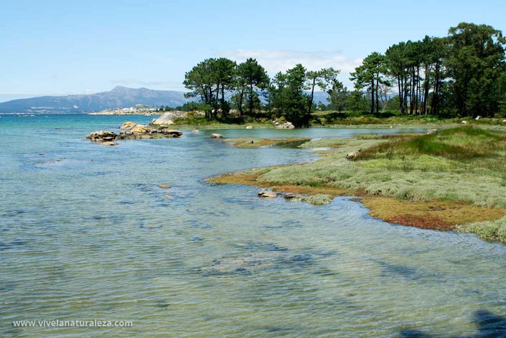 Parque Natural de Carreiron, un paraiso natural
