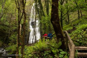 Esta espectacular cascada se encuentra en un bosque natural y privilegiado. Ideal para una visita o una ruta de un día