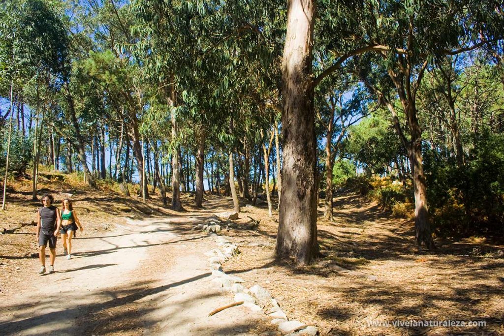 Senderismo en las Islas Cies