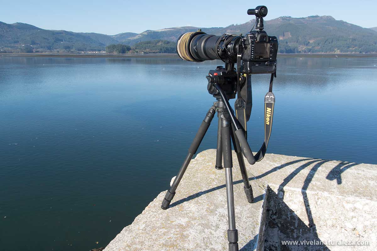 Cámaras, objetivos para fotografía de naturaleza