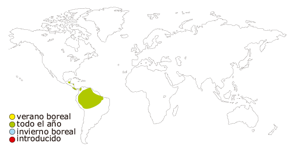 Mapa de distribución mundial del guacamayo rojo (Ara macao)