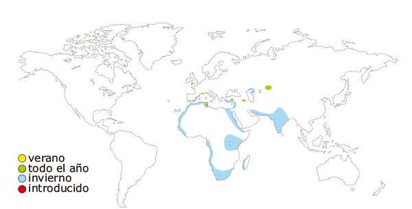 Mapa de distribucion mundial del flamenco comun (Phoenicopterus roseus)