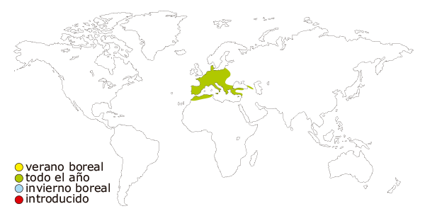 Mapa de distribucion mundial del agateador comun  o agateador europeo (Certhia brachidactyla)