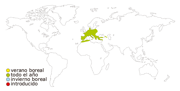 Mapa de distribucion mundial del agateador comun o agateador europeo (Certhia brachidactyla)