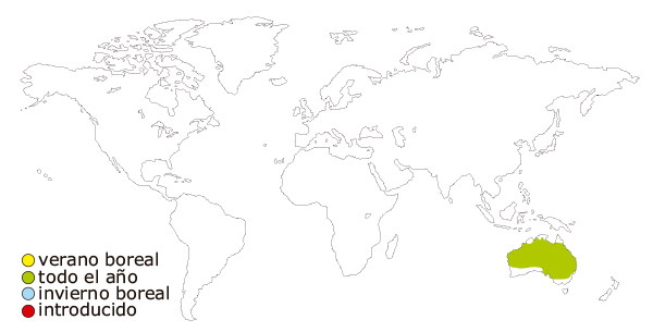 Mapa de distribucion mundial de la cacatua ninfa, tambien llamada cotorrita ninfa (Nymphicus hollandicus)