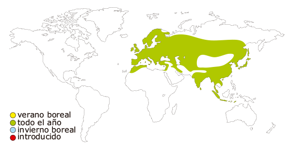 Mapa de distribución mundial del carbonero comun (Parus major)