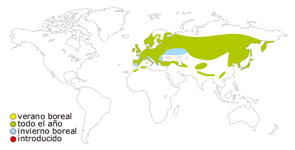 Mapa de distribución mundial del carbonero garrapinos (Periparus ater, Parus ater)