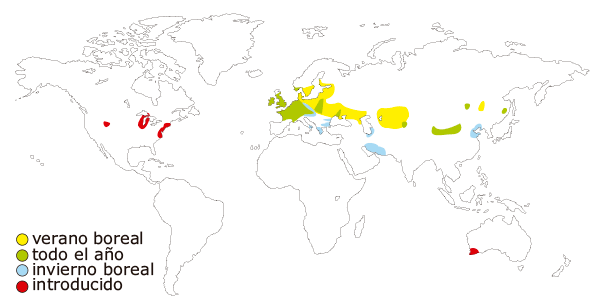 Mapa de distribución del cisne blanco, tambien llamado cisne vulgar o cisne mudo (Cygnus olor)
