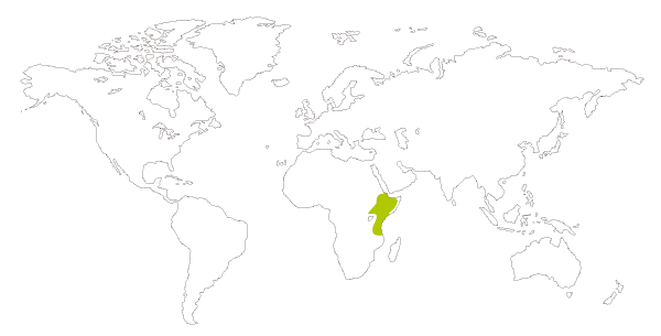Mapa de distribución mundial del estornino soberbio (Lamprotornis superbus o Spreo superbus)