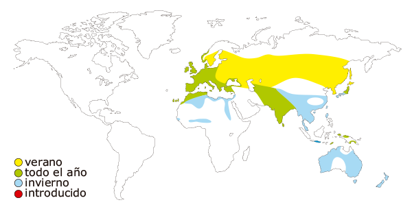 Mapa de distribucion mundial de la focha comun (Fulica atra)