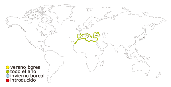 Mapa de distribucion mundial de la gaviota patiamarilla (Larus michahellis)