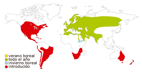 Mapa de distribucion mundial del gorrion comun (Passer domesticus)