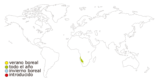 Mapa de distribucion mundial del inseparable cara de melocoton (Agapornis roseicollis)