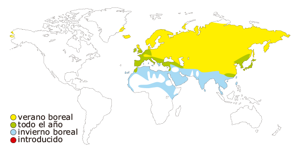 Mapa de distribución mundial de la lavandera blanca (Motacilla alba)