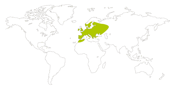 Mapa de distribucion mundial de la mariposa limonera (Gonepteryx rhamni)