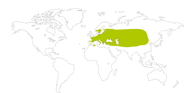 Mapa de distribucion mundial de la mariposa manchas verdes (Glaucopsyche Alexis)