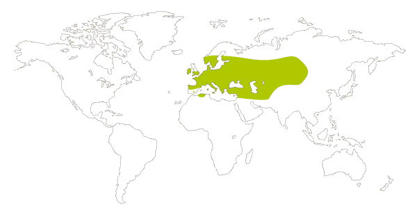 Mapa de distribucion mundial de la mariposa nacarada (Argynnis paphia)