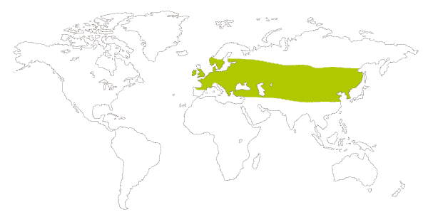Mapa de distribucion mundial de la mariposa sortijitas (Aphantopus hyperantus)