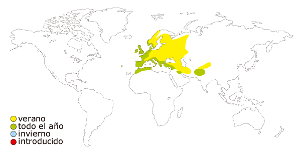 Mapa de distribucion mundial de la paloma torcaz (Columba palumbus)