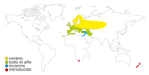 Mapa de distribución del pinzon comun o pinzon vulgar (Fringilla coelebs)