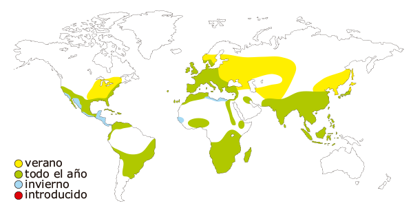 Distribucion mundial de la polla de agua o gallineta comun (Gallinula chloropus)