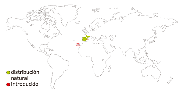 Mapa de distribucion mundial de la rana comun