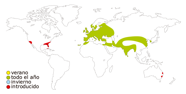 Mapa de distribucion mundial de la tortola turca (Streptopelia decaocto)