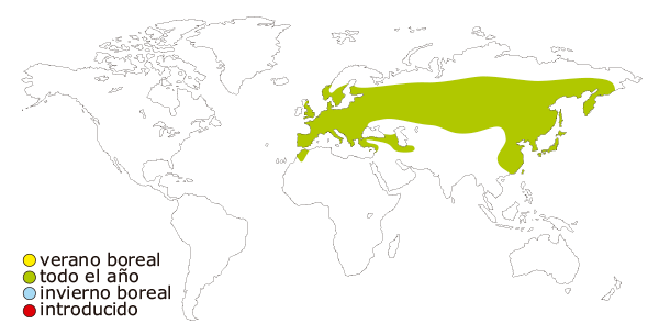Mapa de distribucion mundial del trepador azul (Sitta europea)
