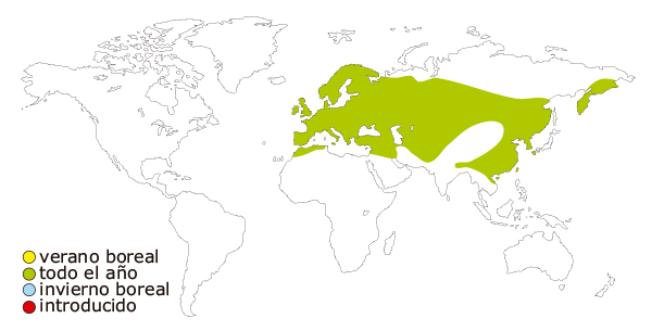 Mapa de distribucion mundial de la urraca comun (Pica pica)