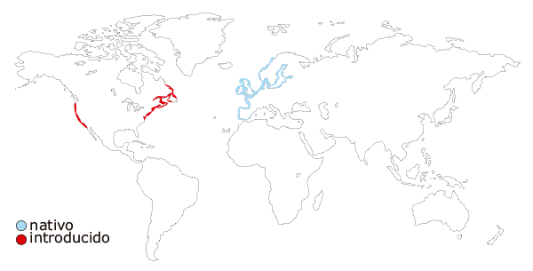 Mapa de distribución mundial del bigaro comun (Littorina littorea)