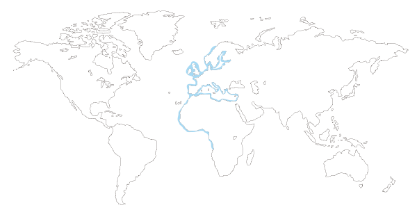 Mapa de distribución mundial del longueiron o navaja rugosa (Solen marginatus)