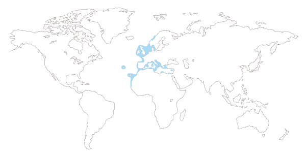 Mapa de distribución mundial del pescado gallito de rey o gallano (Labrus mixtus o Labrus bimaculatus)