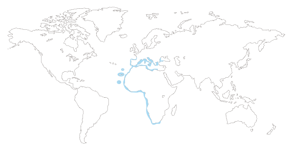 Mapa de distribución del pez sargo (Diplodus sargus)
