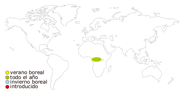 Mapa de distribución mundial de tetra congo (Phenacogrammus interruptus, Micralestes interruptus)