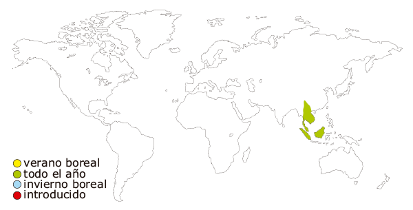 Mapa de distribución mundial del pez cola de tijera, rasbora cola de tijera, tijerita, rasbora tijerita. (Rasbora trilineata)